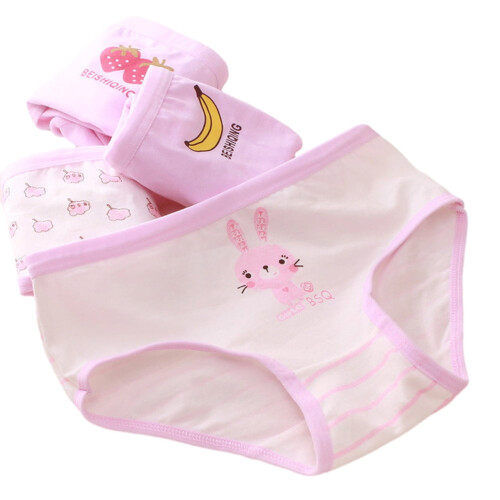 Conjunto de 5 cuecas boxer femininas em algodão macio