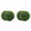 Liathróidí Bogsa Saorga Lasmuigh Topiary2 phíosa 1