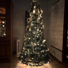 XEOVHV pre-lit Christmas tree 4 ft green silver with warm