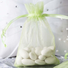 Efavormart Lot de 10 pochettes cadeaux en organza menthe avec cordon de serrage - 10 x 15 cm