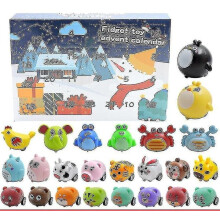Advent Calendar Fidget Toys for Kids 24 Pieces