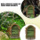 Pixie elf fairy miniature garden door 1 piece 3