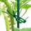 Plastic Support Clips for Hanging Vines 100 pcs 4