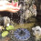 Solar fountain black water pump 1 unit 6