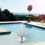 Solar Fountain Black 16 cm 5