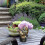 Solar Powered Squirrel Waterfall Fountain with LED Lights 5