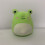 Frog Squishmallow Plush Pillow 30 cm 7