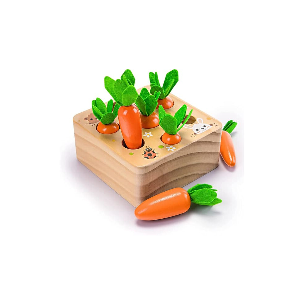 Ancaixin Montessori wooden carrot shape sorter for 6–12