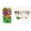 Pressed Flowers Bulk Kit for Resin Crafts 2