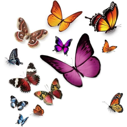 Butterfly Vinyl Car Sticker Waterproof 1pc