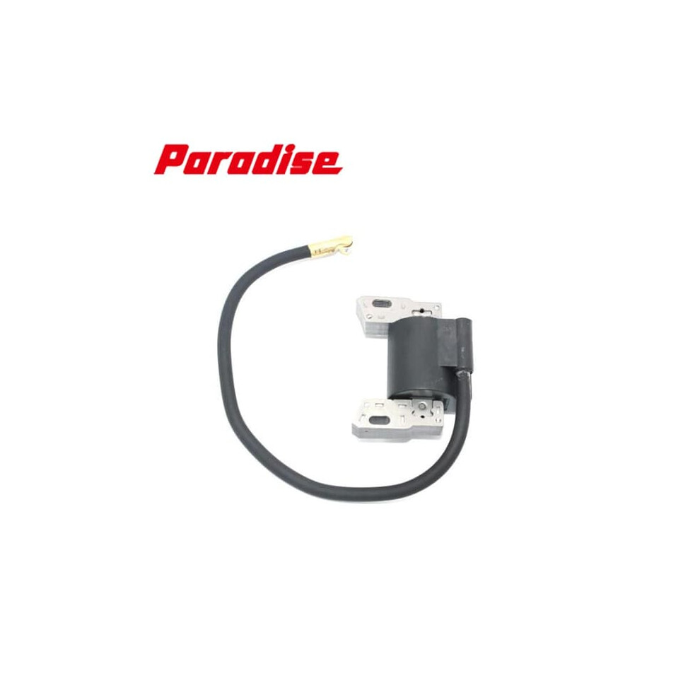 Ignition Coil For Briggs & Stratton 591420 398593 496914 962029368113
