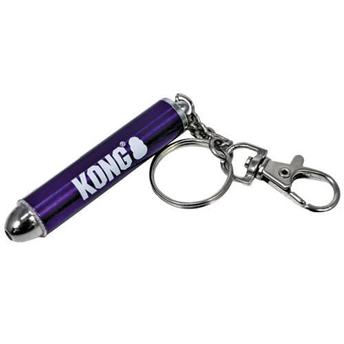 Laser Pointer with Keychain Attachment