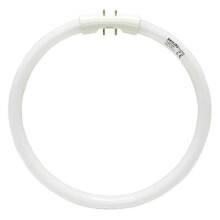 TL5C circular fluorescent lamp blue 22W