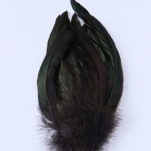 Rooster feathers natural color 6-8 inch 50 pcs