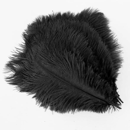 Ostrich Feathers Natural Black 25-30 cm 20 pcs