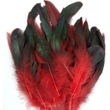 Rooster feathers natural color 6-8 inches 50 pcs