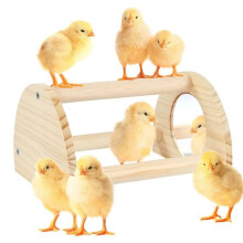 Postello per Galline con Specchio, Robusto Appollaiato da Gioco per Pulcini, Giocattolo per Pollaio e Incubatrice, Trespolo per L'Addestramento.