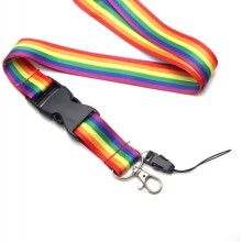 Lanyards met Pride-patroon in meerdere kleuren (2 stuks)