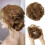 Síneadh Eireaball Ponytail Gruaige Daonna Chatach TESOON 1
