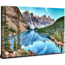 Colorado Forest Wall Art Canvas Print 12x16 inch