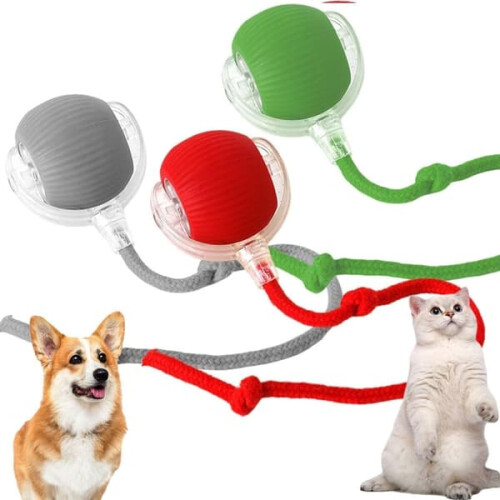 Interactive Rolling Ball for Cats and Dogs Green 1