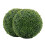 Liathróidí Bogsa Saorga Topiary 2 phíosa 1
