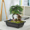 Jardinière rectangulaire violette effet sable avec trous de drainage 2