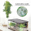 Plantas artificiales para terrario 40 cm 3