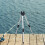 Fiskestangholder med stativ, foldbar, 5-stang, 60 cm 6
