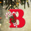 Christmas Acrylic Initial Ornament A-Z Red 26 pcs 1