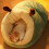 Cat Bed Slipper-Shaped Self-Warming Semi-Enclosed 6