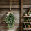 24 Inch Artificial Olive Wreath Teardrop Shape with Gold 6