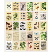 Vintage-Inspired Botanical Postcard Set 30