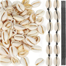 Natural Spiral Shell Beads Open Back Oval 120 pcs