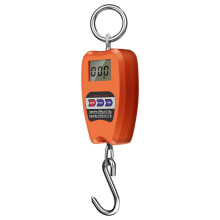 Mini Crane Scale Digital Hanging Scale 200 kg