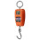 Mini Crane Scale Digital Hanging Scale 200 kg 1