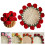 Crochet Kit for Beginners with Flower Blanket and Coaster 5
