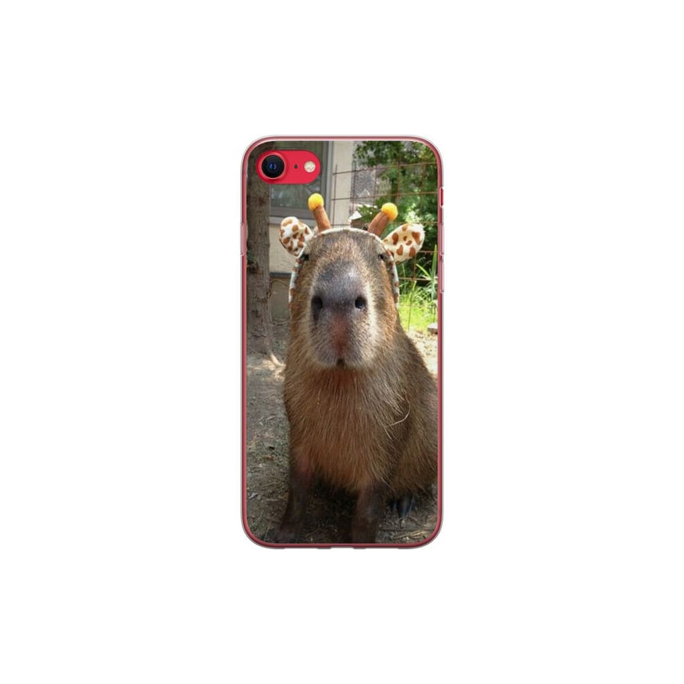 Capybara Iphone 8 Transparent Case 940684203987
