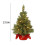 Weloille 24-inch pre-lit flocked mini Christmas tree with 3