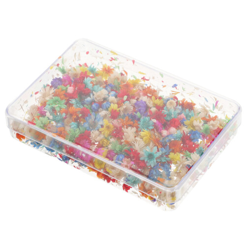 Nishuna dried flowers for crafts small box 2