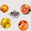 Stainless Steel Lemon Orange Squeezer Manual 1 Piece 6