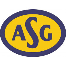 ASG-klistremerke, tilgjengelig i 5 størrelser, 31 x 19 cm