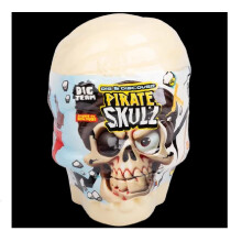 Pirate Skull Dig Activity Set
