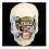 Pirate Skull Dig Activity Set 1