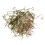 Fish Ear Hooks Dot Wire for Jewelry Making 200 pcs 1