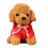 Peluche douce pour chien avec vêtements 7,8 pouces 1