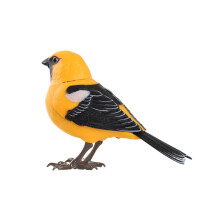 Oiseau chanteur jouet pour enfants activé par le son