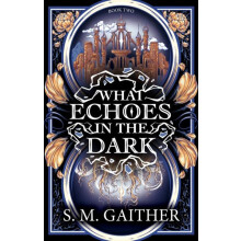 What Echoes in the Dark by S. M. Gaither Paperback Book