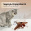 Interactive Flying Bird Toy for Cats 1 Pack 4
