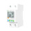 Tuya WiFi1-63A Έξυπνος Αυτόματος Προστατευτικός Επανακλεισίματος Μετρητής 1